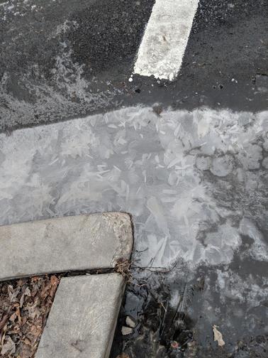 Ice confetti.jpg