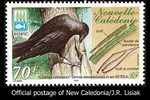 New caledonian crow stamp 490.jpg
